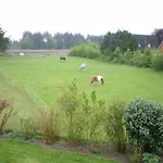 Urlaub Zwischen Nord- Und Ostsee Appartement Leck