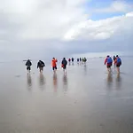 Appartement Urlaub Zwischen Nord- Und Ostsee