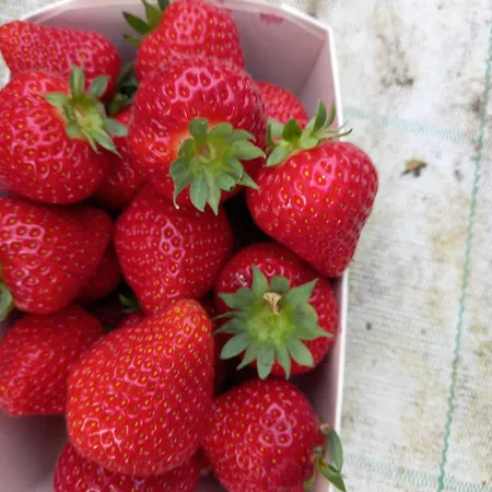 Urlaub Zwischen Nord- Und Ostsee Apartman *