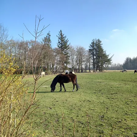 Urlaub Zwischen Nord- Und Ostsee Apartman
