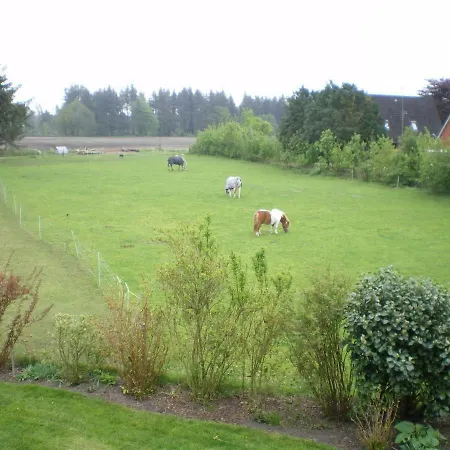 Urlaub Zwischen Nord- Und Ostsee Apartman Leck