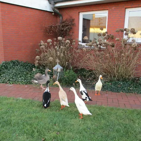 Apartment Urlaub Zwischen Nord- Und Ostsee *