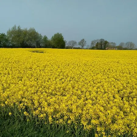 Urlaub Zwischen Nord- Und Ostsee